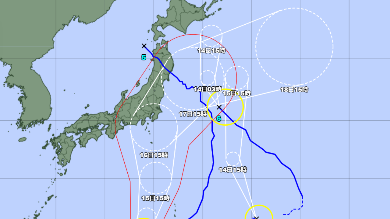 tri tips 2024【なぜ真っすぐ泳げないのか？】答えはシンプル♪